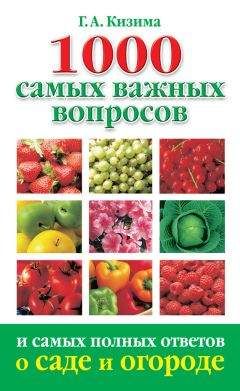 Галина Кизима - 1000 самых важных вопросов и самых полных ответов о саде и огороде