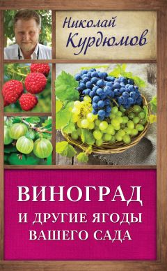 Читайте книги онлайн на Bookidrom.ru! Бесплатные книги в одном клике Николай Курдюмов - Виноград и другие ягоды вашего сада