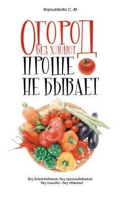 Читайте книги онлайн на Bookidrom.ru! Бесплатные книги в одном клике Светлана Королькова - Огород без хлопот: Проще не бывает!