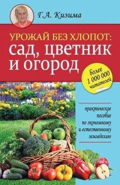 Читайте книги онлайн на Bookidrom.ru! Бесплатные книги в одном клике Галина Кизима - Урожай без хлопот: сад, цветник и огород