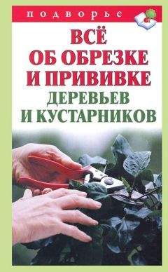 Виктор Горбунов - Всё об обрезке и прививке деревьев и кустарников