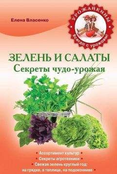 Елена Власенко - Зелень и салаты. Секреты чудо-урожая