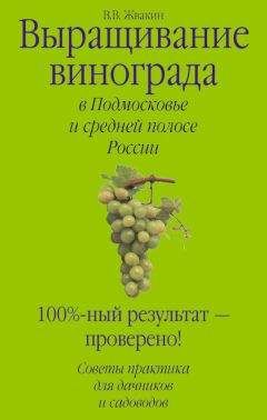 Читайте книги онлайн на Bookidrom.ru! Бесплатные книги в одном клике Виктор Жвакин - Выращивание винограда в Подмосковье и средней полосе России