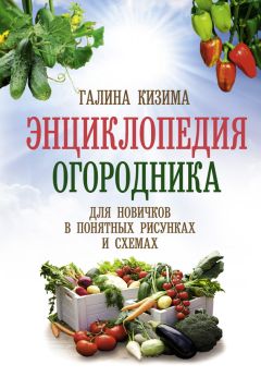 Читайте книги онлайн на Bookidrom.ru! Бесплатные книги в одном клике Галина Кизима - Энциклопедия огородника для новичков в понятных рисунках и схемах. Увидел – повтори