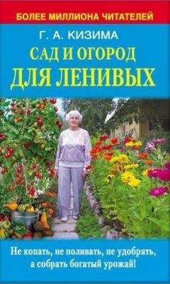 Читайте книги онлайн на Bookidrom.ru! Бесплатные книги в одном клике Галина Кизима - Сад и огород для ленивых. Не копать, не поливать, не удобрять, а собирать богатый урожай