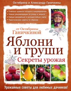 Октябрина Ганичкина - Яблони и груши: секреты урожая от Октябрины Ганичкиной