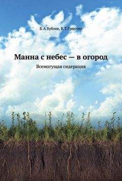 Читайте книги онлайн на Bookidrom.ru! Бесплатные книги в одном клике Гридчин Виталий - Манна с небес — в огород. Всемогущая сидерация