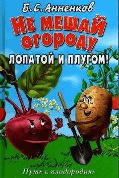 Читайте книги онлайн на Bookidrom.ru! Бесплатные книги в одном клике Борис Анненков - Не мешай огороду лопатой и плугом