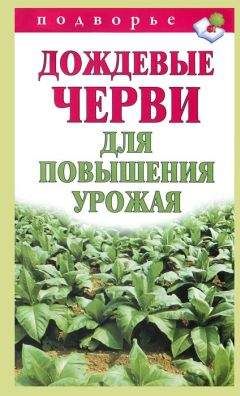 Читайте книги онлайн на Bookidrom.ru! Бесплатные книги в одном клике Виктор Горбунов - Дождевые черви для повышения урожая