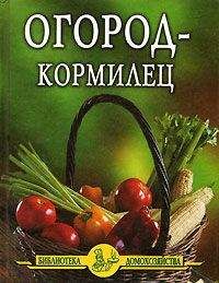 Читайте книги онлайн на Bookidrom.ru! Бесплатные книги в одном клике Иван Дубровин - Огород – кормилец