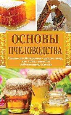 Читайте книги онлайн на Bookidrom.ru! Бесплатные книги в одном клике Н. Медведева - Основы пчеловодства. Самые необходимые советы тому, кто хочет завести собственную пасеку