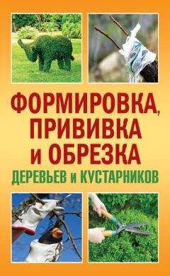 Сергей Макеев - Формировка, прививка и обрезка деревьев и кустарников