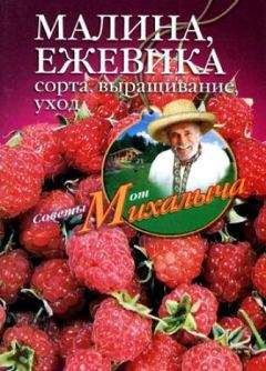 Николай Звонарев - Малина, ежевика. Сорта, выращивание, уход