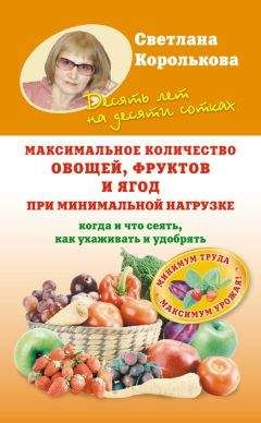 Читайте книги онлайн на Bookidrom.ru! Бесплатные книги в одном клике Светлана Королькова - Максимальное количество овощей, фруктов и ягод при минимальной нагрузке