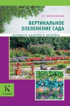 Читайте книги онлайн на Bookidrom.ru! Бесплатные книги в одном клике Елена Колесникова - Вертикальное озеленение