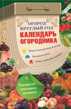 Василий Борщ - Огород круглый год: календарь огородника