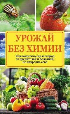 Читайте книги онлайн на Bookidrom.ru! Бесплатные книги в одном клике Надежда Севостьянова - Урожай без химии. Как защитить сад и огород от вредителей и болезней, не навредив себе