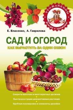 Читайте книги онлайн на Bookidrom.ru! Бесплатные книги в одном клике Анна Гаврилова - Сад и огород. Как вырастить за один сезон