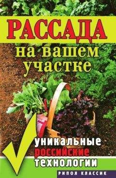 Читайте книги онлайн на Bookidrom.ru! Бесплатные книги в одном клике Светлана Ермакова - Рассада на вашем участке. Уникальные российские технологии