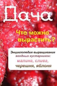 Илья Мельников - Что можно вырастить? Энциклопедия выращивания ягодных кустарников: малина, слива, черешня, яблоня