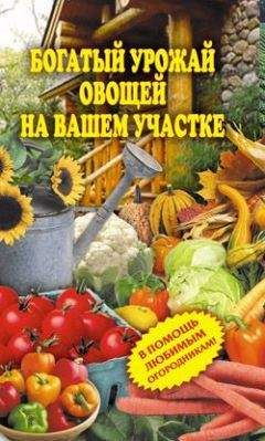 Читайте книги онлайн на Bookidrom.ru! Бесплатные книги в одном клике Светлана Чебаева - Богатый урожай овощей на вашем участке. В помощь любимым огородникам!