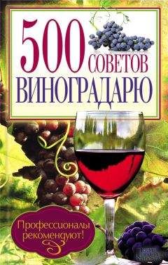 Читайте книги онлайн на Bookidrom.ru! Бесплатные книги в одном клике Юрий Бойчук - 500 советов виноградарю