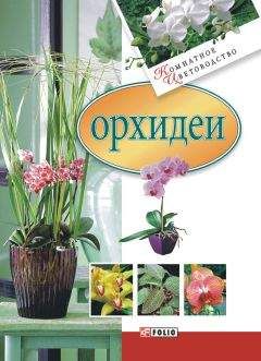 Читайте книги онлайн на Bookidrom.ru! Бесплатные книги в одном клике Мария Згурская - Орхидеи