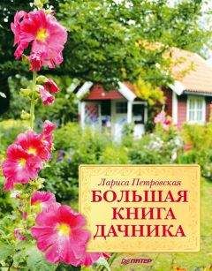 Лариса Петровская - Большая книга дачника