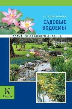 Елена Колесникова - Садовые водоемы