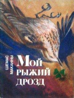 Читайте книги онлайн на Bookidrom.ru! Бесплатные книги в одном клике Шемас Маканны - Мои рыжий дрозд
