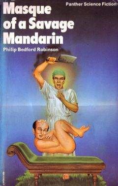 Читайте книги онлайн на Bookidrom.ru! Бесплатные книги в одном клике Филипп Робинсон - Маска свирепого мандарина