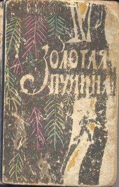 Читайте книги онлайн на Bookidrom.ru! Бесплатные книги в одном клике Владислав Ляхницкий - Золотая пучина