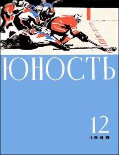 Читайте книги онлайн на Bookidrom.ru! Бесплатные книги в одном клике Владимир Амлинский - Жизнь Эрнста Шаталова
