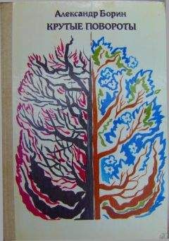 Читайте книги онлайн на Bookidrom.ru! Бесплатные книги в одном клике Александр Борин - Крутые повороты