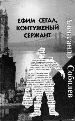 Читайте книги онлайн на Bookidrom.ru! Бесплатные книги в одном клике Александр Соболев - Ефим Сегал, контуженый сержант