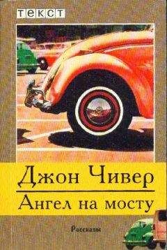 Читайте книги онлайн на Bookidrom.ru! Бесплатные книги в одном клике Джон Чивер - Ангел на мосту