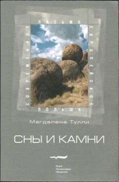 Читайте книги онлайн на Bookidrom.ru! Бесплатные книги в одном клике Магдалена Тулли - Сны и камни