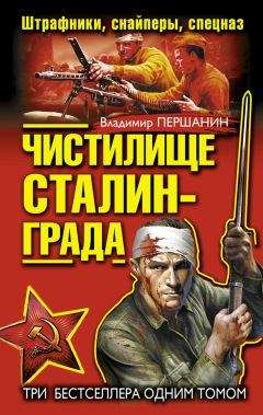 Владимир Першанин - Чистилище Сталинграда. Штрафники, снайперы, спецназ (сборник)