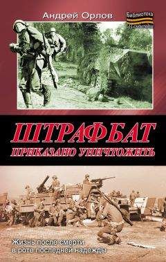 Читайте книги онлайн на Bookidrom.ru! Бесплатные книги в одном клике Андрей Орлов - Штрафбат. Приказано уничтожить