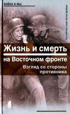 Читайте книги онлайн на Bookidrom.ru! Бесплатные книги в одном клике Армин Шейдербауер - Жизнь и смерть на Восточном фронте. Взгляд со стороны противника