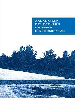 Читайте книги онлайн на Bookidrom.ru! Бесплатные книги в одном клике Илья Васильев - Александр Печерский: Прорыв в бессмертие