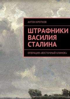 Читайте книги онлайн на Bookidrom.ru! Бесплатные книги в одном клике Антон Кротков - Штрафники Василия Сталина