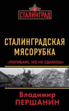 Читайте книги онлайн на Bookidrom.ru! Бесплатные книги в одном клике Владимир Першанин - Сталинградская мясорубка. «Погибаю, но не сдаюсь!»