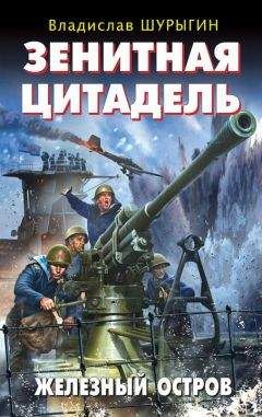 Читайте книги онлайн на Bookidrom.ru! Бесплатные книги в одном клике Владислав Шурыгин - Зенитная цитадель. «Не тронь меня!»