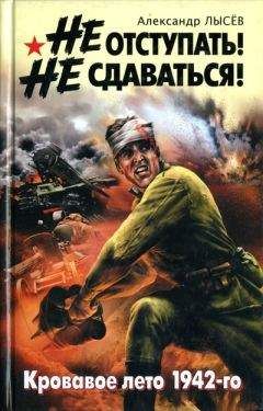 Читайте книги онлайн на Bookidrom.ru! Бесплатные книги в одном клике Александр Лысёв - Не отступать! Не сдаваться!