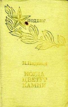 Читайте книги онлайн на Bookidrom.ru! Бесплатные книги в одном клике Иван Падерин - Когда цветут камни