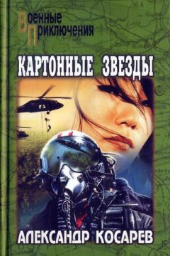 Читайте книги онлайн на Bookidrom.ru! Бесплатные книги в одном клике Александр Косарев - Картонные звезды