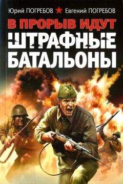 Читайте книги онлайн на Bookidrom.ru! Бесплатные книги в одном клике Юрий Погребов - В прорыв идут штрафные батальоны