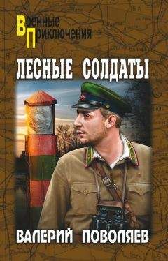 Читайте книги онлайн на Bookidrom.ru! Бесплатные книги в одном клике Валерий Поволяев - Лесные солдаты