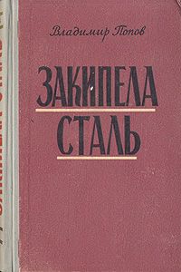 Читайте книги онлайн на Bookidrom.ru! Бесплатные книги в одном клике Владимир Попов - Закипела сталь